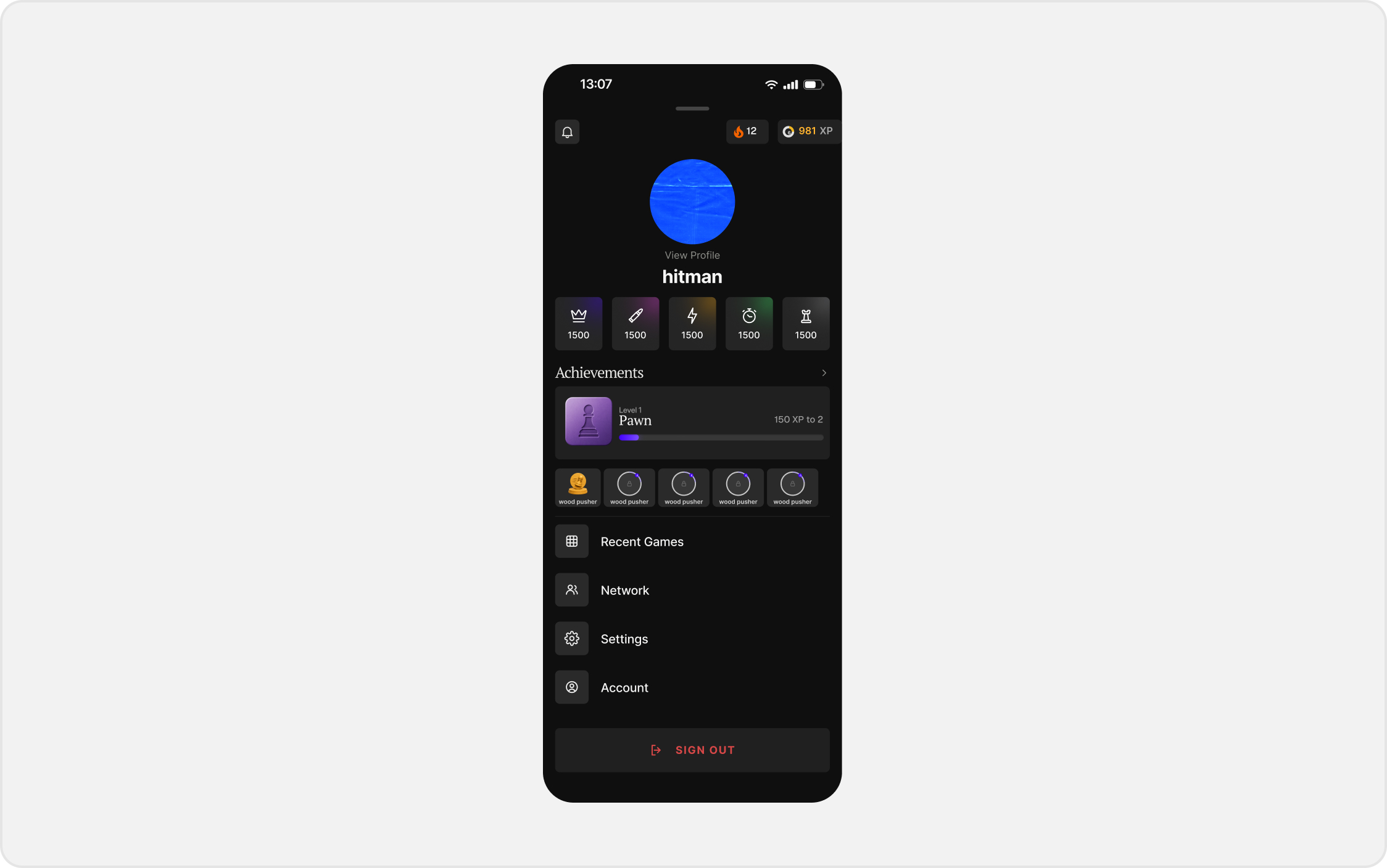 Player profile with XP and achievements